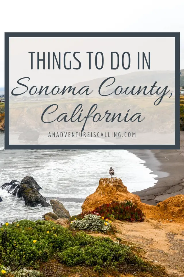10 Things to do in Sonoma County (Besides Wine Tasting ...