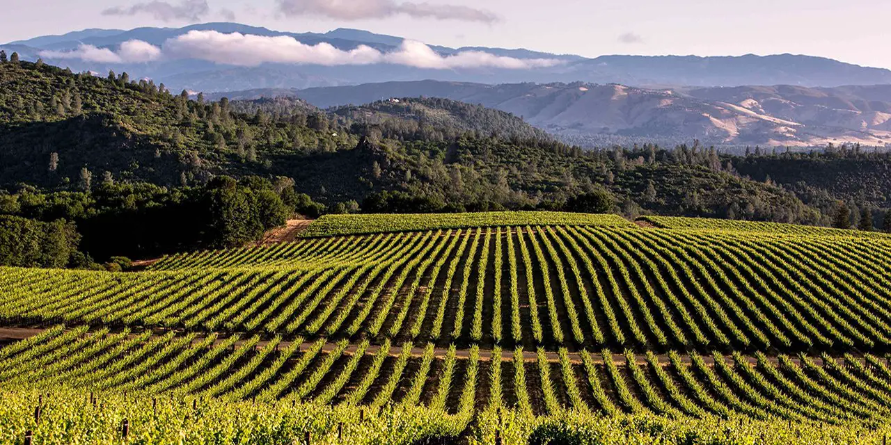 12 Wine Country Destinations