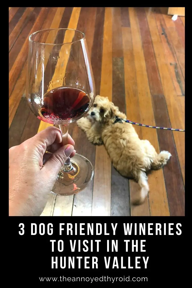 3 Dog Friendly Wineries to Visit in the Hunter Valley ...
