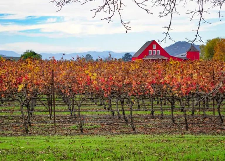 30+ Exciting Things to Do in Napa Valley Besides Wine ...