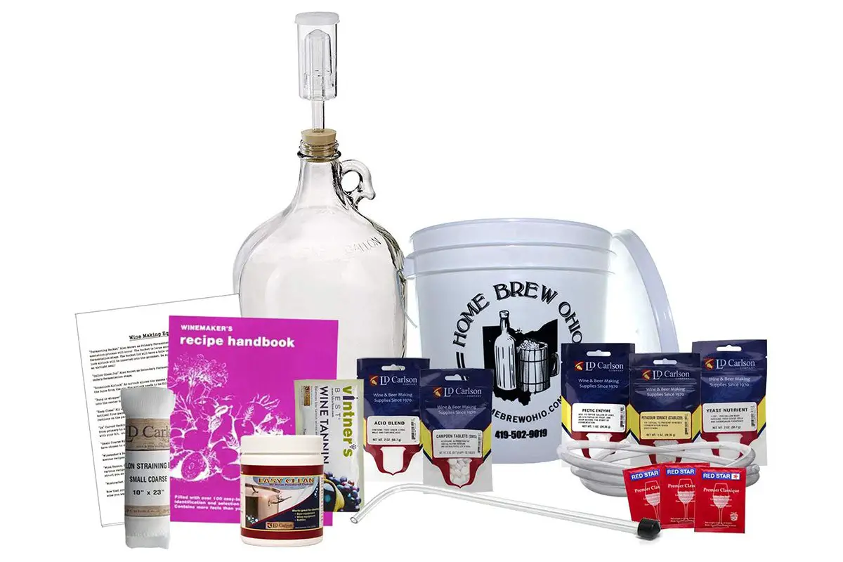 5 Best Wine Making Kits for Home Brewing (2021)