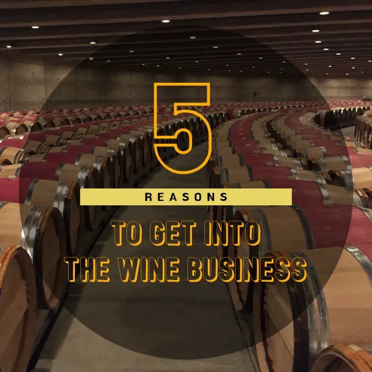5 Reasons To Get Into the Wine Business