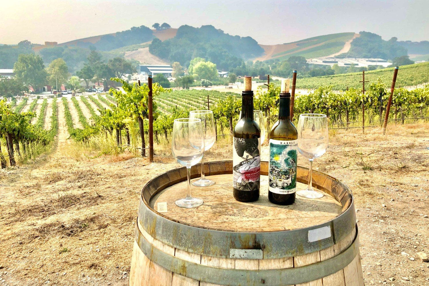 7 of the Best Wineries to Explore in Paso Robles, CA