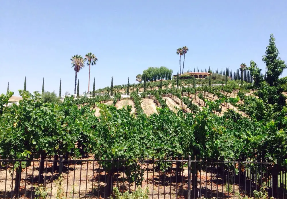 8 Best Wineries in Temecula You Need to Visit