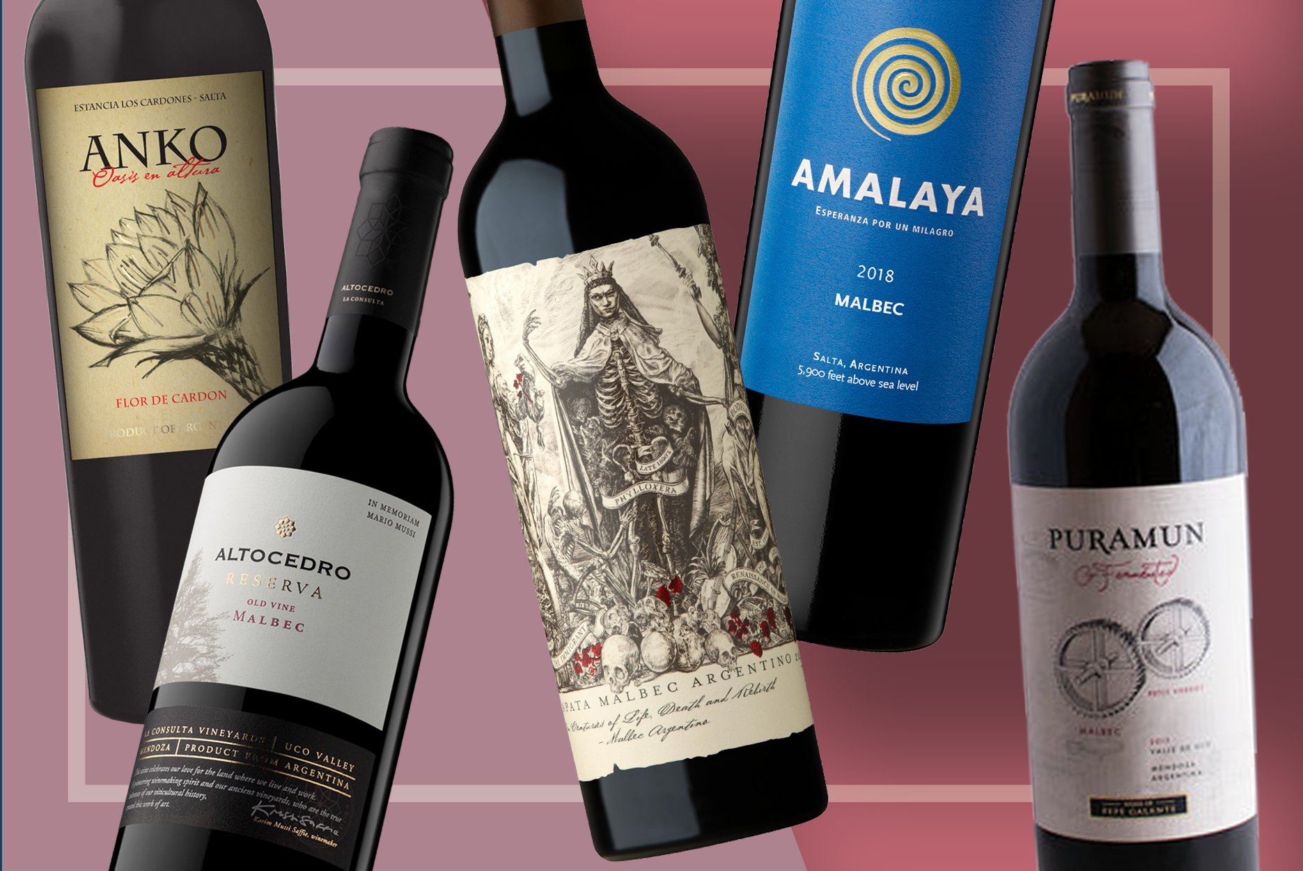 9 Bottles of Argentine Malbec to Buy Right Now