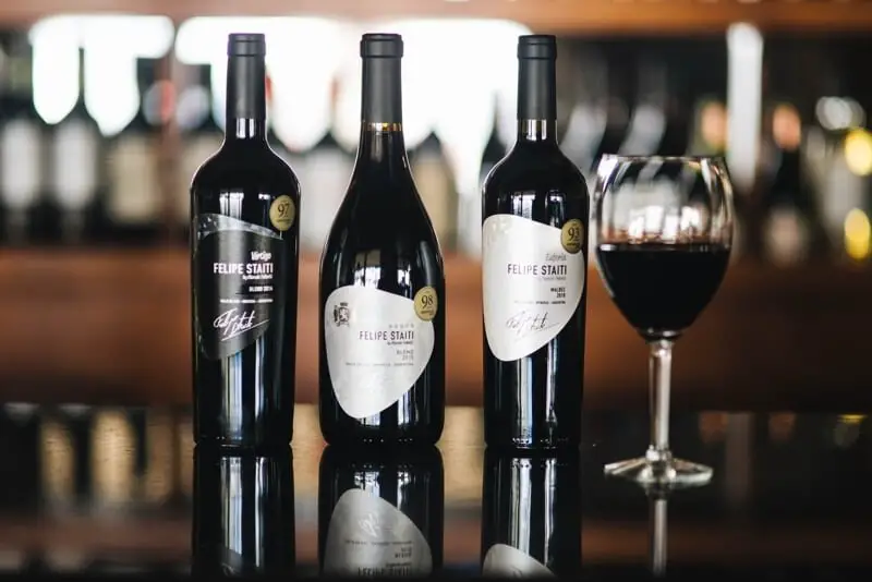 Best Argentinian Wine: Top 10 Wines Listed Here