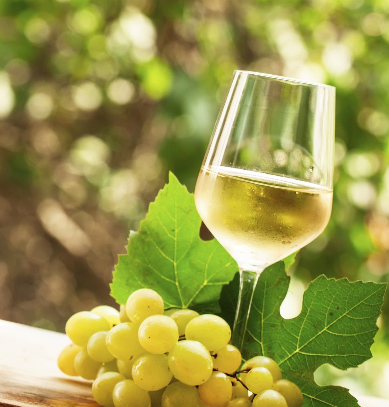 Best Grapes For Home Winemaking