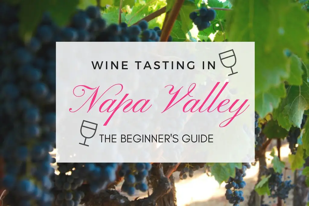 Best Napa Valley wineries