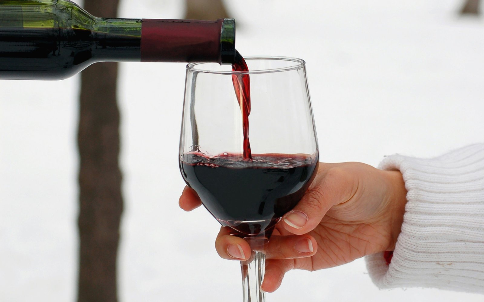 Best Red Wines for Winter