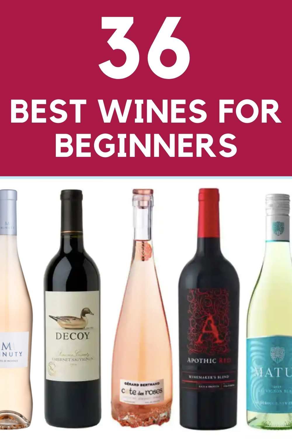 Best Wines for Beginners