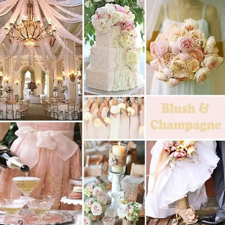 Blush Wedding