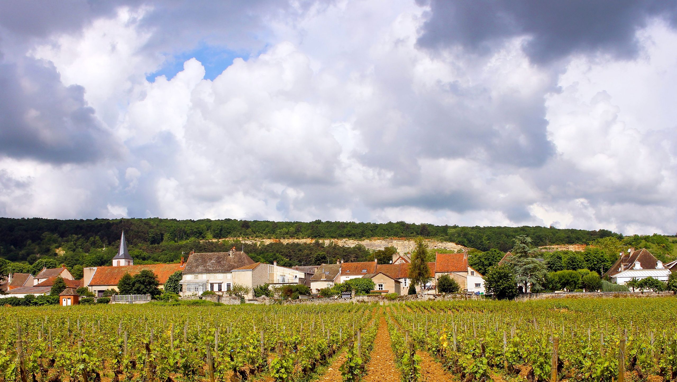 Burgundy is one of the most loved wine regions and for good reason ...