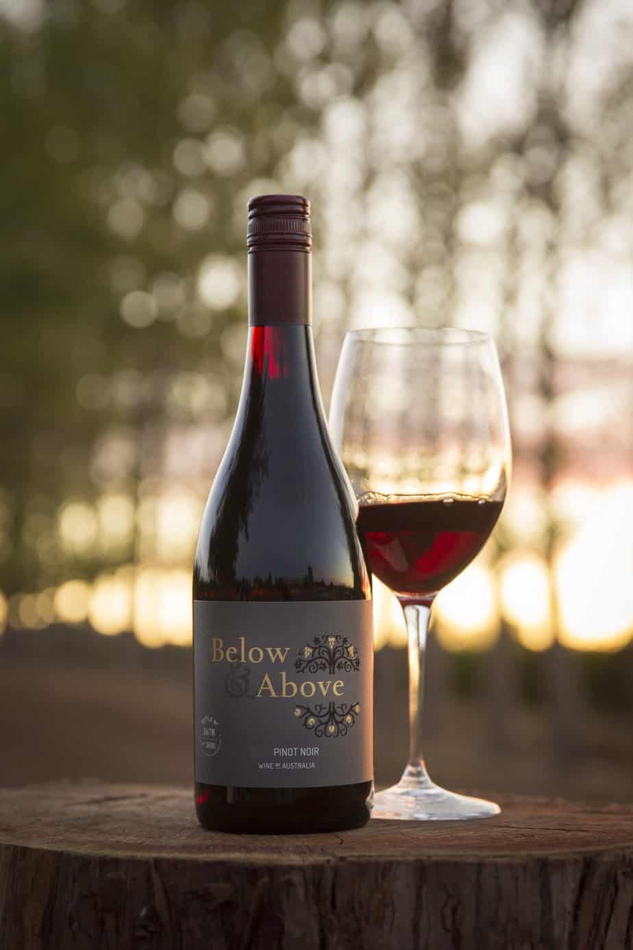 Buy Below &  Above Pinot Noir 750ml (Pemberton, WA) online ...