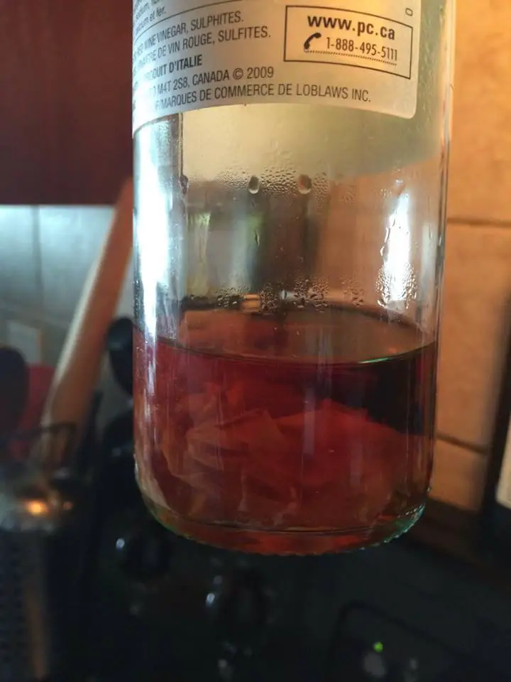 Can I use this mother of vinegar from my store bought ...