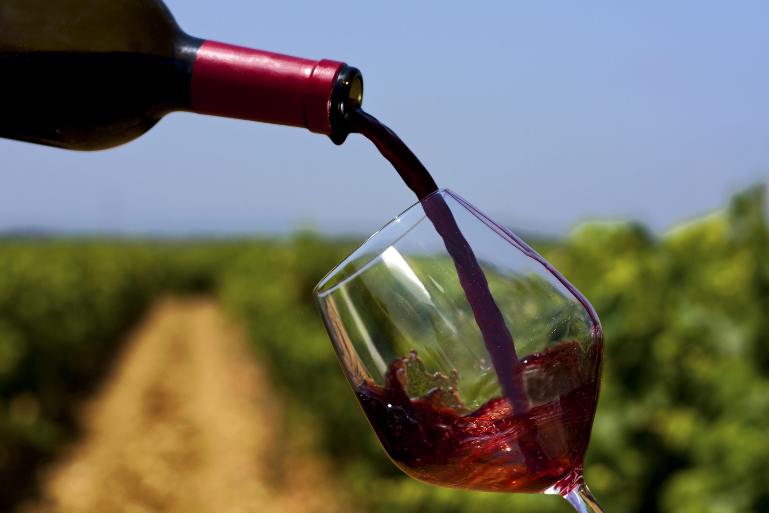 Can Red Wine Help Prevent Heart Disease in Type 2 Diabetes ...