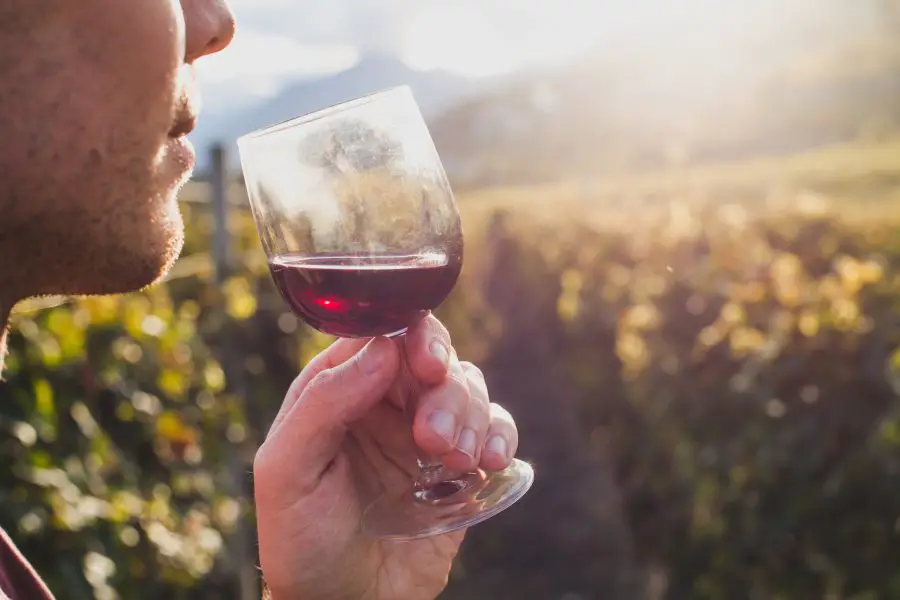Can Wine Cause Heartburn?
