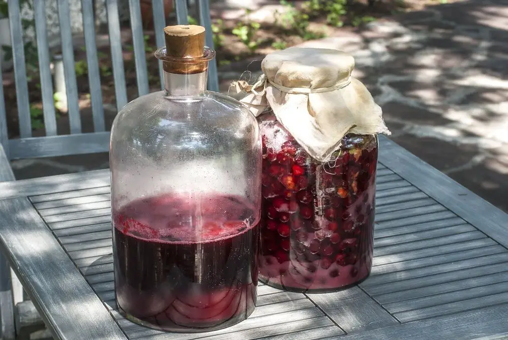 Cherry Wine Recipe: How to Make It In 4 Easy Steps