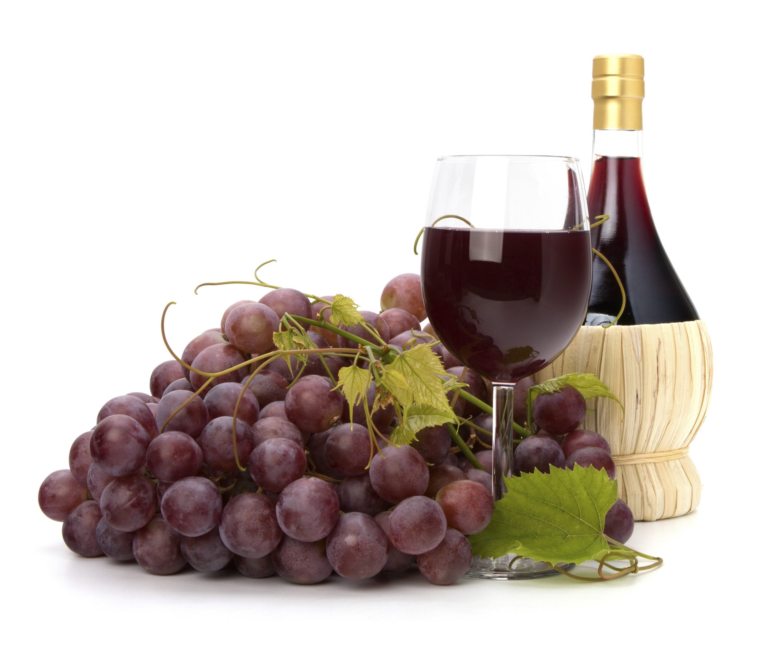 Compound found in grapes, red wine may help prevent memory ...