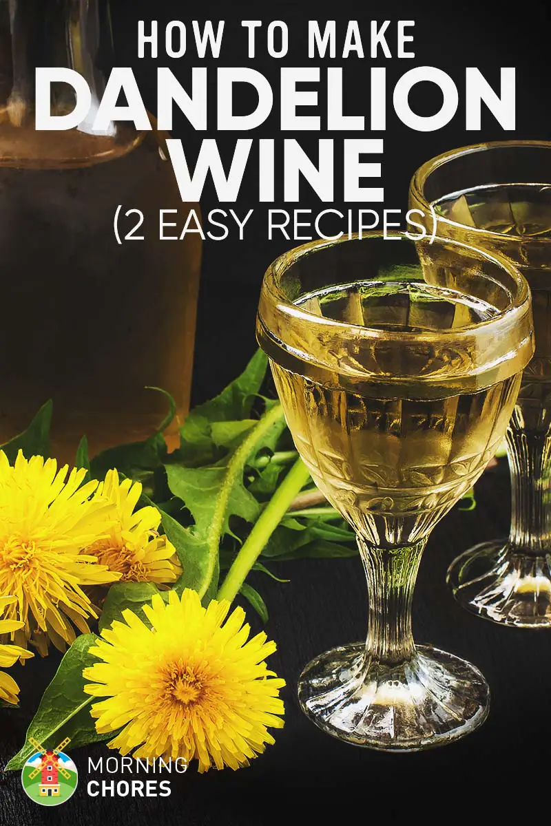 Dandelion Wine Recipe: 2 Ways to Make Delicious Wine out ...