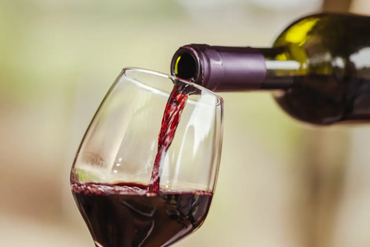 Drinking Red Wine Before Bed Could Help You Lose Weight