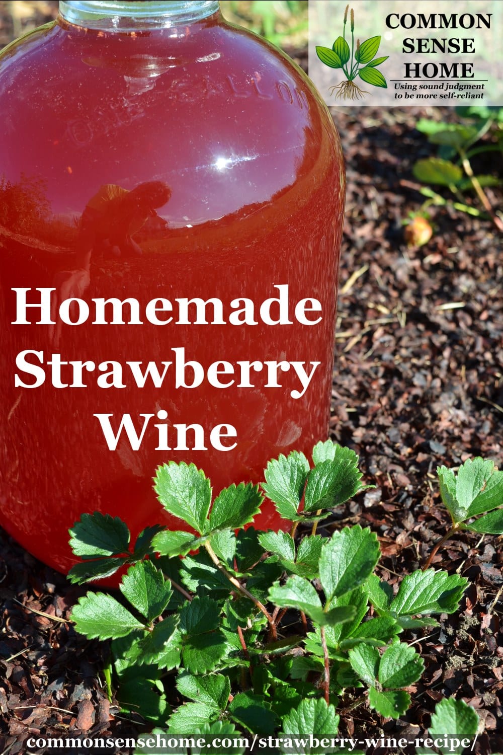 Easy Strawberry Wine Recipe