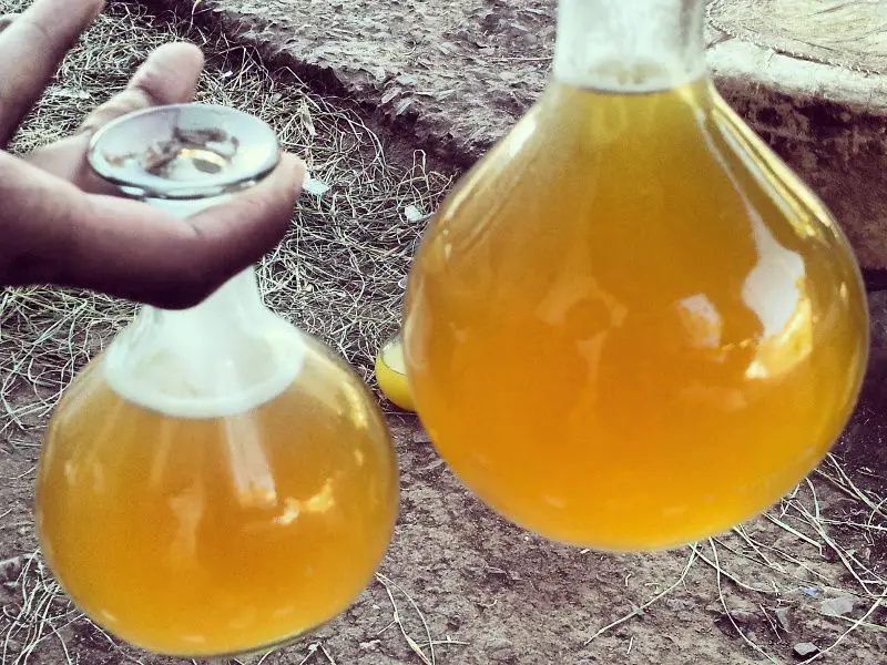 Ethiopian honey wine (tej) in typical glass flasks in 2020 ...
