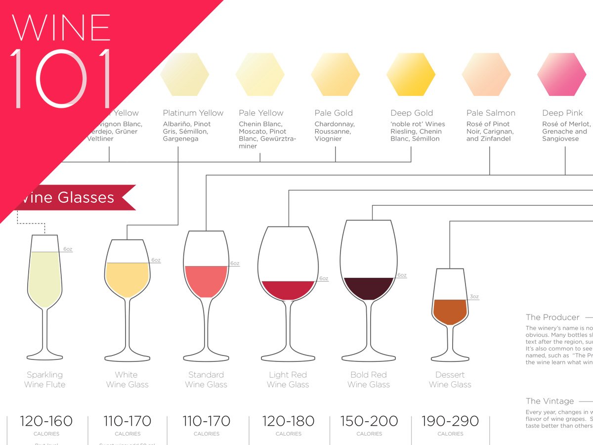 Get Into Wine with the Basic Wine Guide (Infographic ...