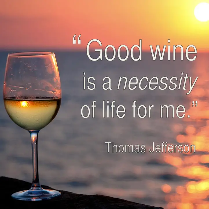 " Good wine is a necessity of life for me." 