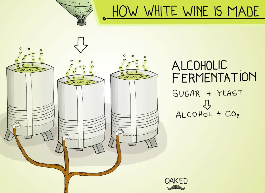 How is White Wine Made
