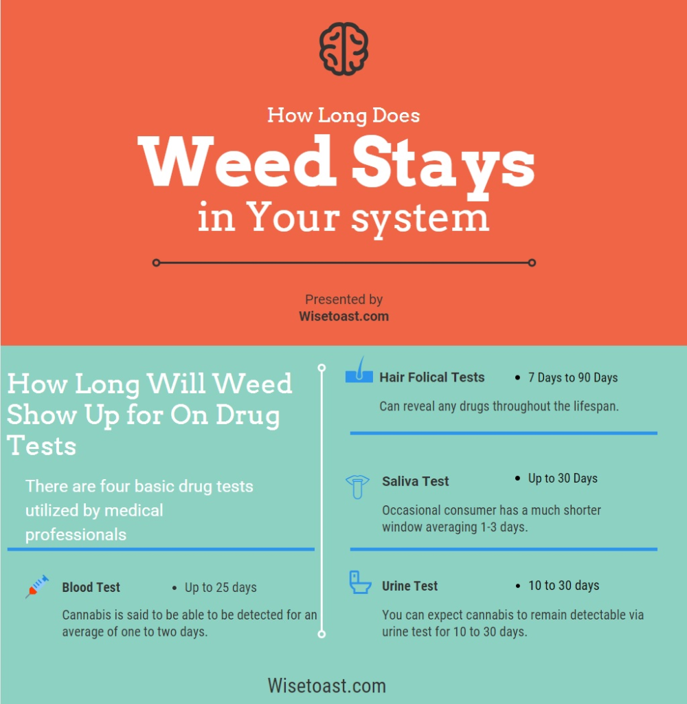 How Long Do Drugs Stay In Your Hair