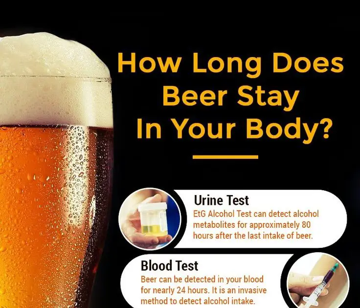 How Long Does Beer Stay In Your Pee