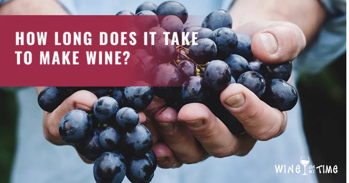 How Long Does it Take to Make Wine? . .
