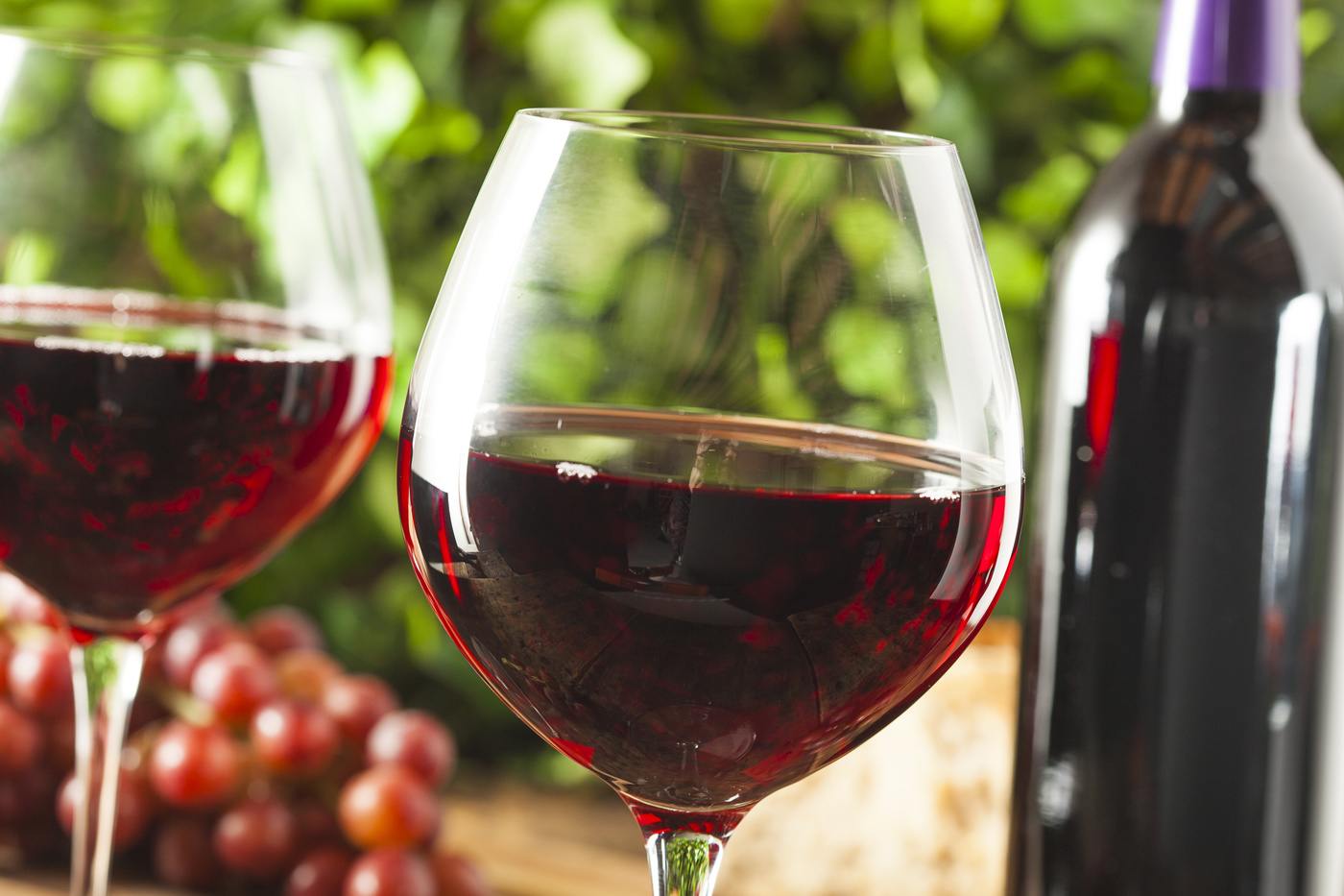 How to choose the best red wine (with video)