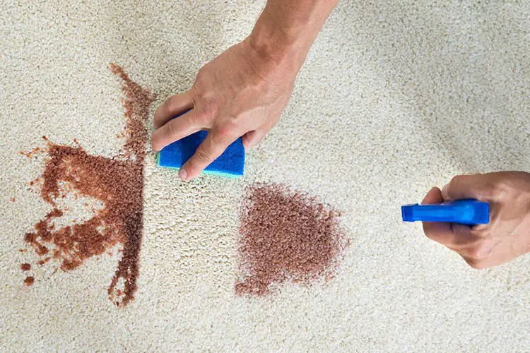 How to clean every kind of carpet stain