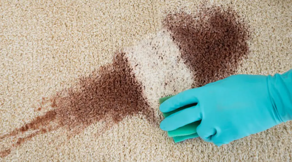 How to get the worst stains out of your carpet