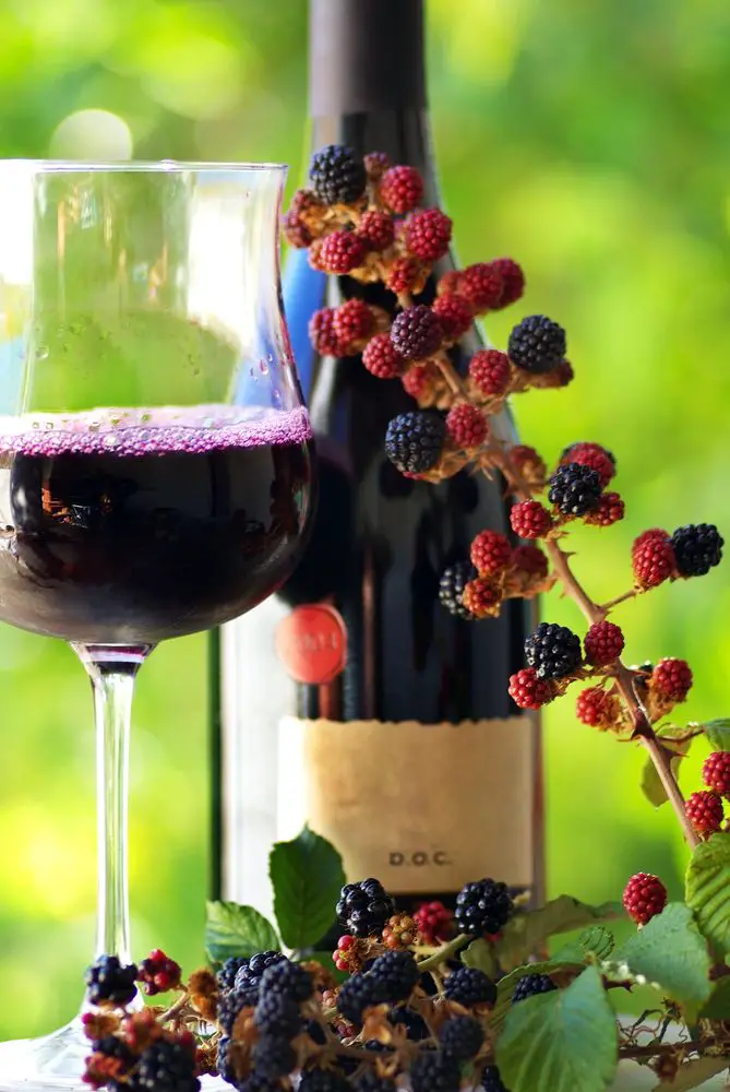 How to Make Blackberry Wine