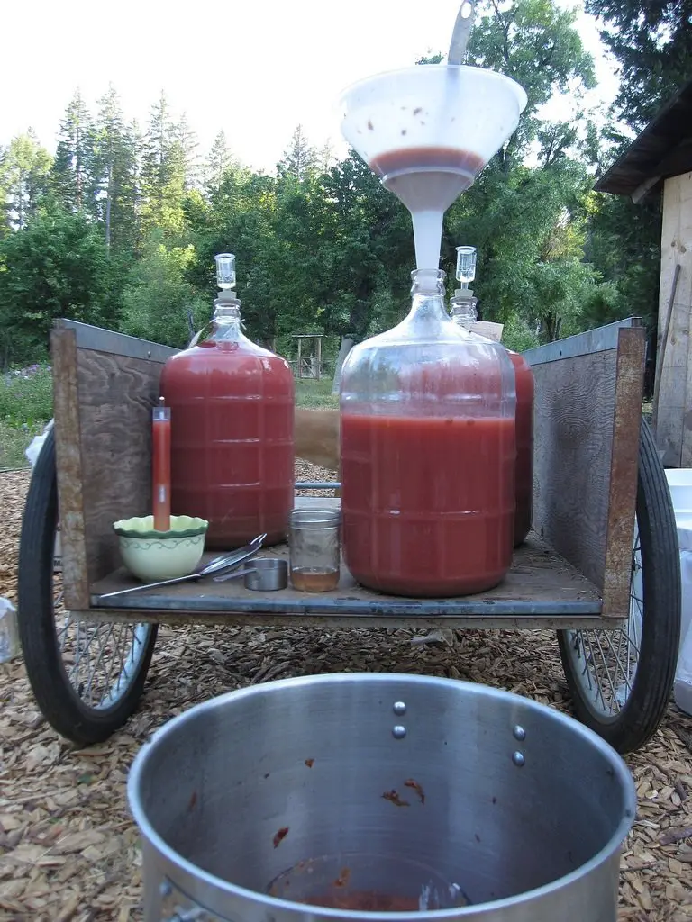 How to Make Cherry Wine at Home