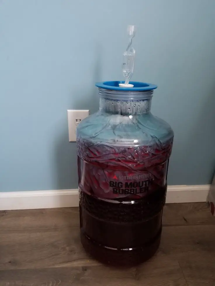 How to Make Delicious Homemade Wine from Leftover Frozen ...