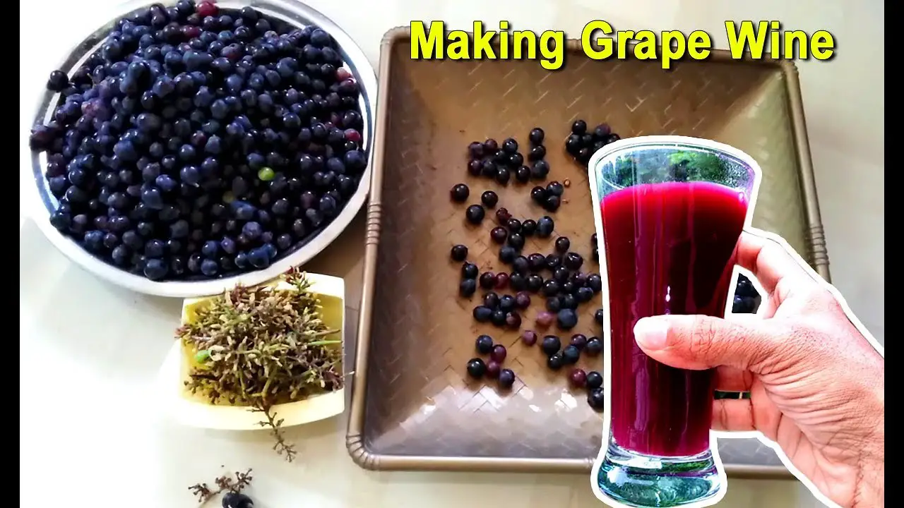 How To Make Grape Wine at Home