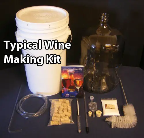 How to Make Homemade Wine in 1 Minute