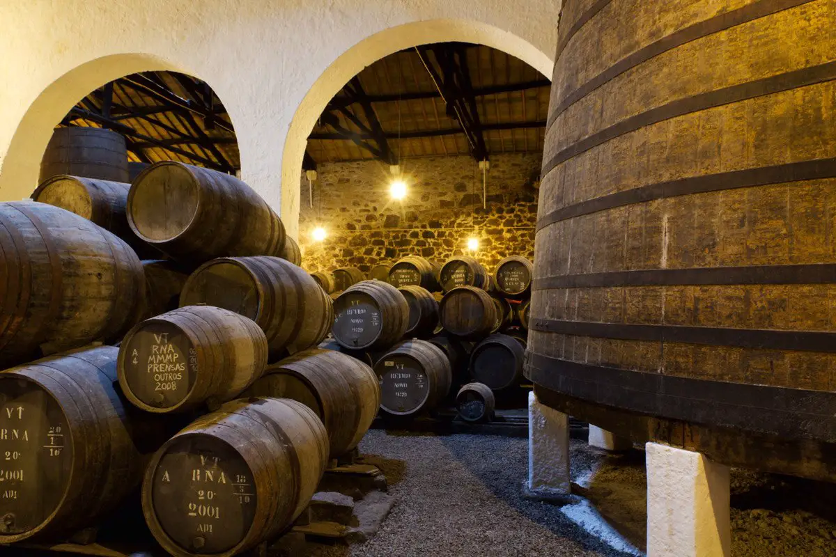 How to Make Port & What Port Wine Is Made From?