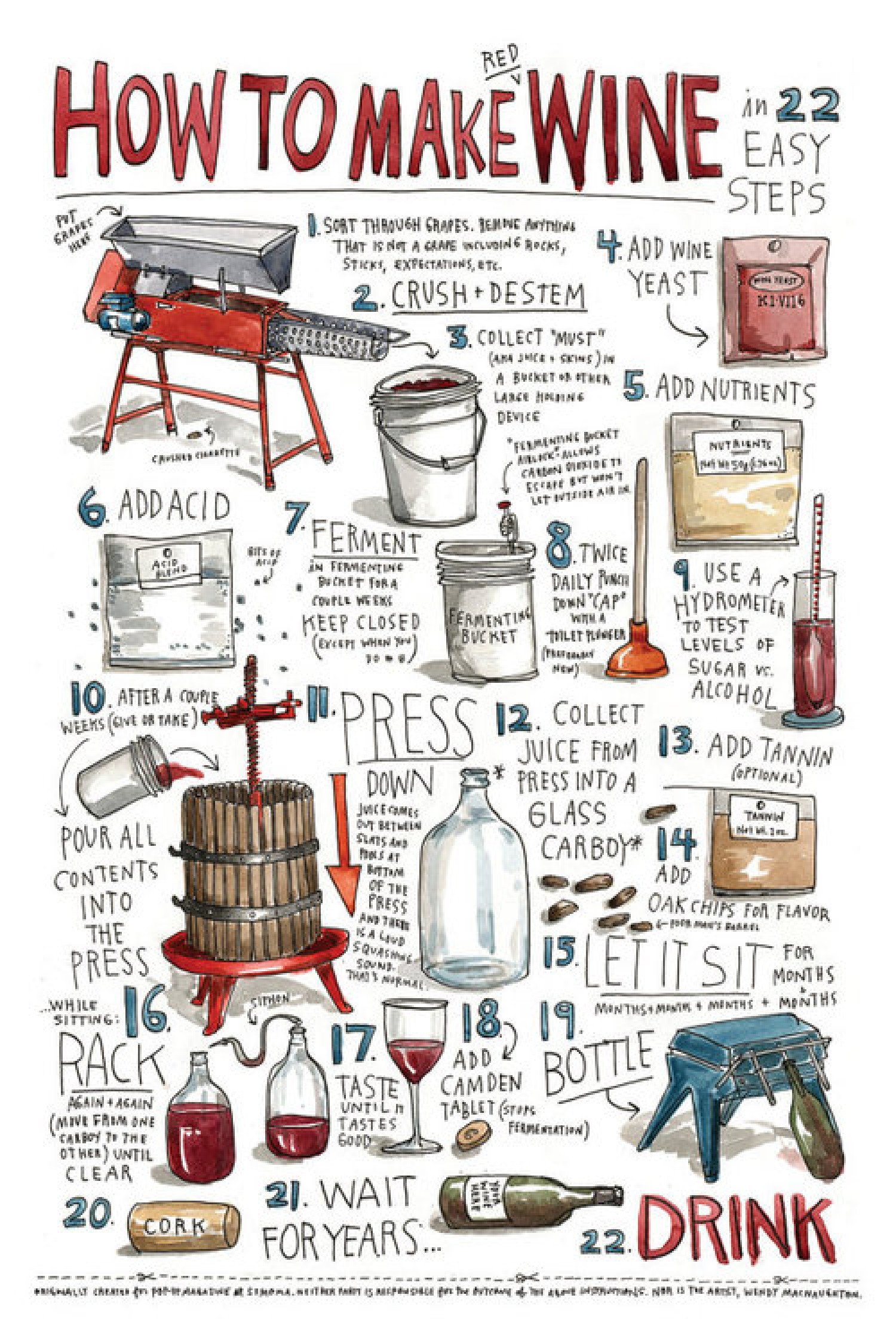 How to Make Wine in 22 easy steps