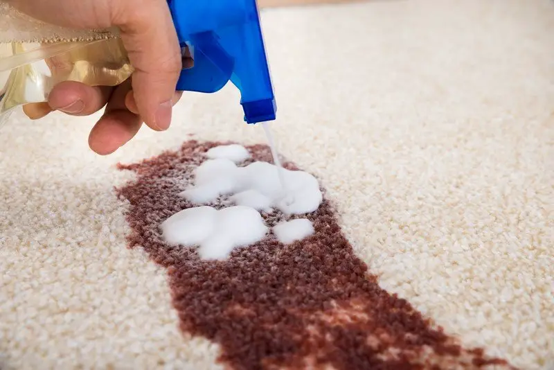 How to Remove Dried Red Wine Stains From Carpet
