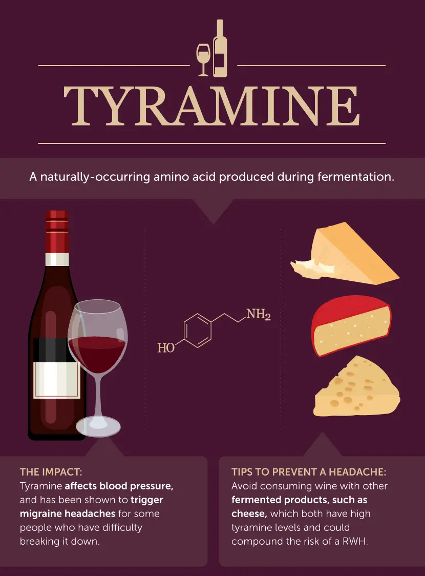 How Tyramine Contributes to Red Wine Headaches