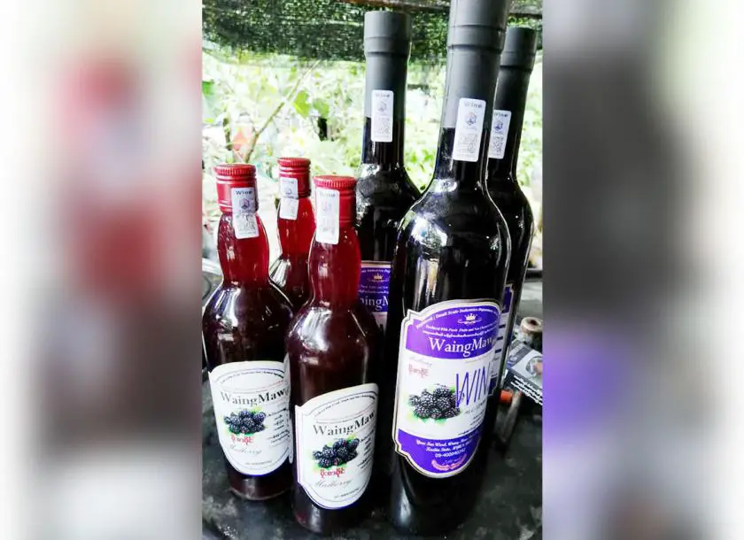 Kachin State winemaker builds business from scratch