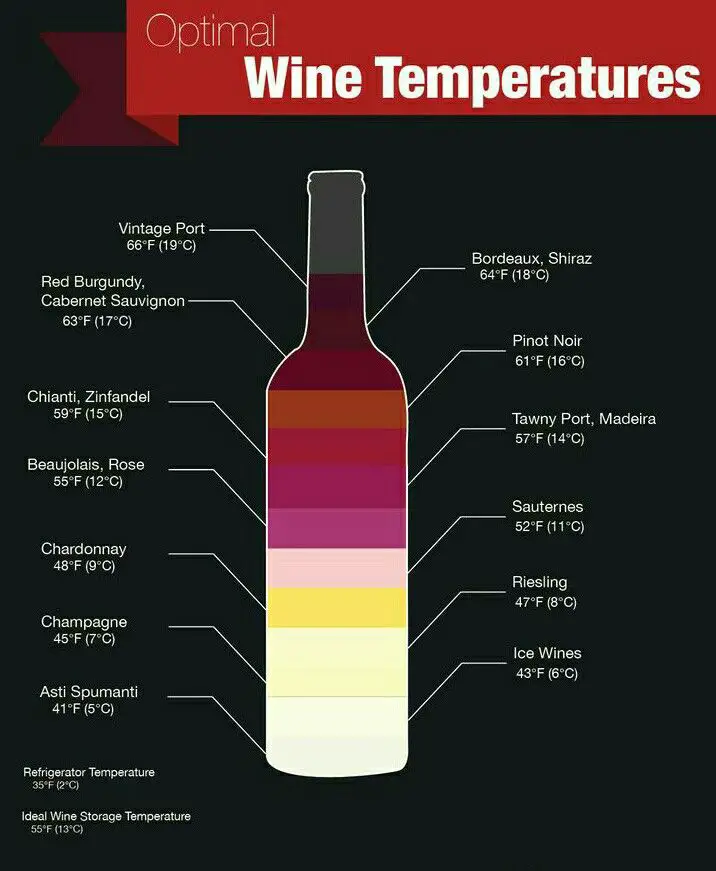 Know the chill. The optimal wine temperature makes a difference. (With ...