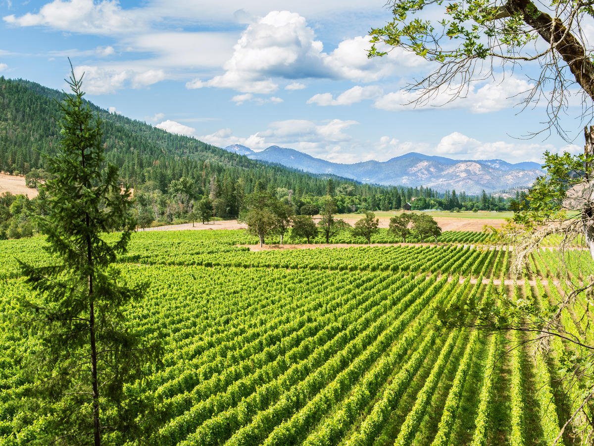 Locals Guide to Southern Oregon Wine Country
