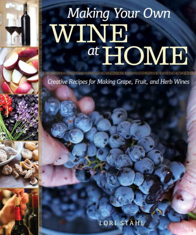 Make Your Own Wine at Home with This Creative New Guidebook