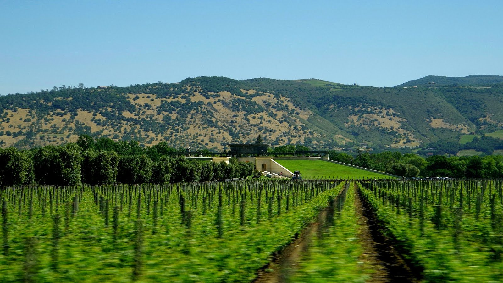 Napa Valley Wine Tour From San Francisco