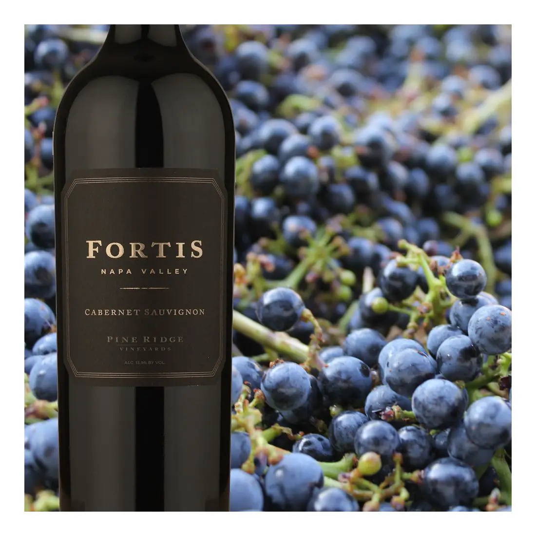 Our 2009 FORTIS Cabernet Sauvignon was rated 94 points and featured as ...